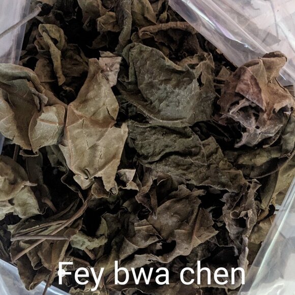 Fey Bwa Chen - Picture 1 of 1